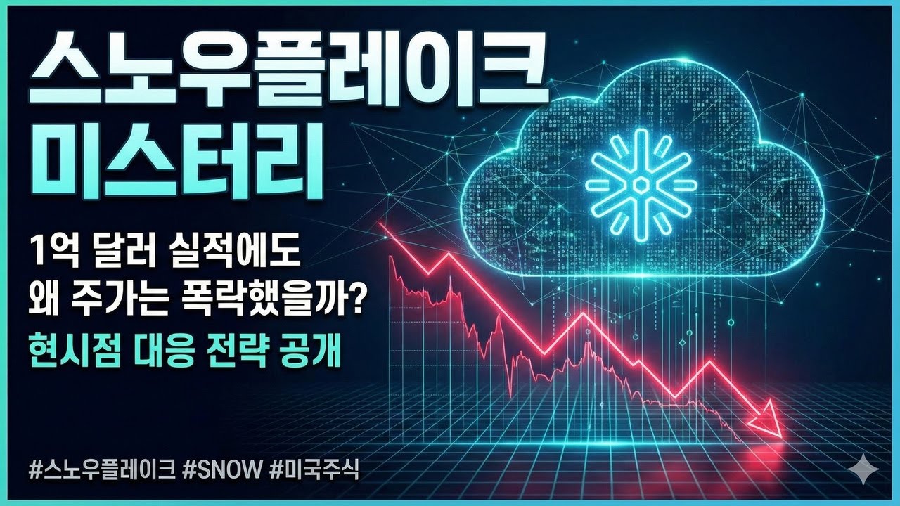 풀버전] 🔍스노우플레이크 미스터리: 1억 달러 실적에도 왜 주가는 폭락했을까? 현시점 대응 전략 공개 - YouTube