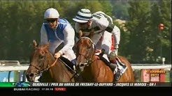 Immortal Verse - Prix Du Haras De Fresnay-Le-Buffard - Jacques Le Marois 2011 G1