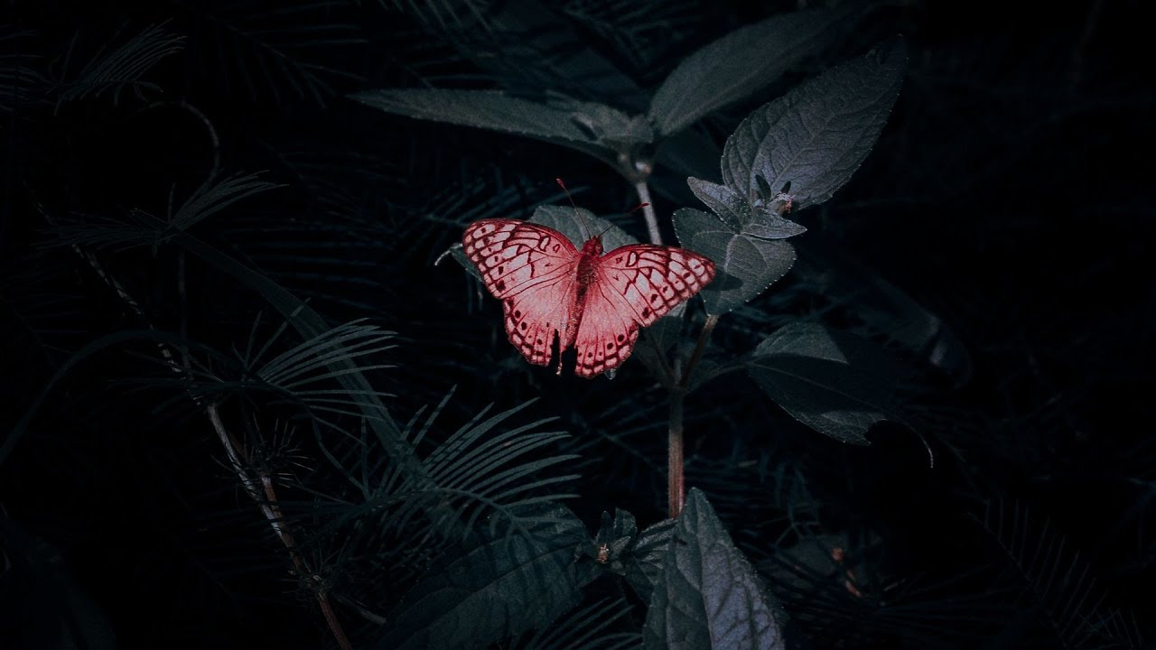 Watch MALU - Square One (Official Visualizer) on YouTube Watch MALU - Square One (Official Visualizer) on YouTube