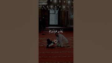 الله نور السموات والأرض.. #ماهر_المعيقلي #تلاوة_خاشعة #ريحانة_قرآن #قرآن #الله #قران_كريم #quran