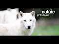 Vidéo: Parc Animalier de Sainte-Croix, Rhodes 