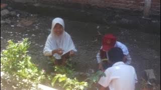 Ngewe anak sd di kantin sepulang sekolah