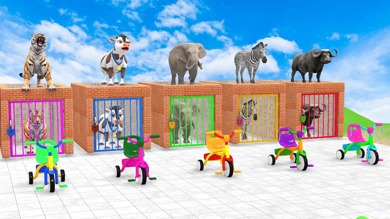 Long Slide Game with Cow, Elephant, Zebra  & Lion | Funny Animora 3D Game 🐄🐘🦍🦖🦁