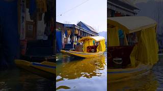 Dal Lake Kashmir  Meena Bazar  Shikara Ride Kashmir kashmirtour adventure houseboat