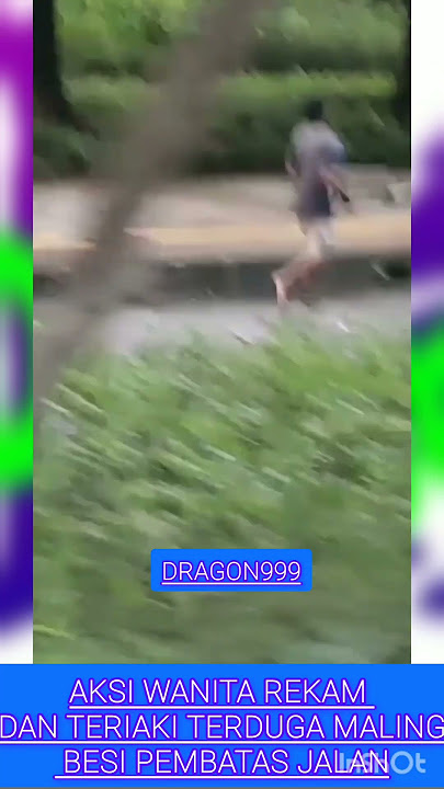 Viral Video Aksi Wanita Rekam Dan Teriaki Terduga Maling Besi Pembatas Jalan