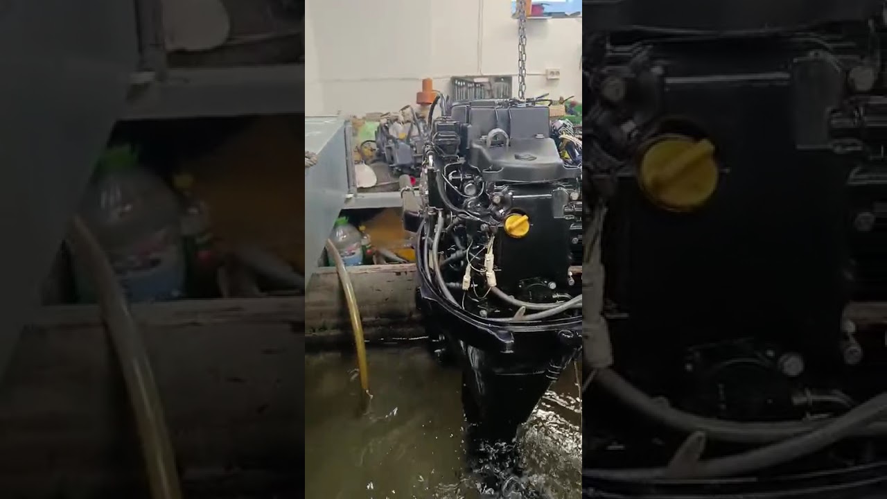 C Tutorial Random Number Generator With C - YouTube Auto PHP Script