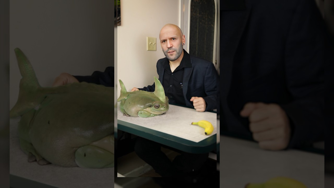 The MegaloFROG a New Action Film!