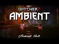 The Witcher 2 - One hour of Relaxing Music &amp; Natural Ambience