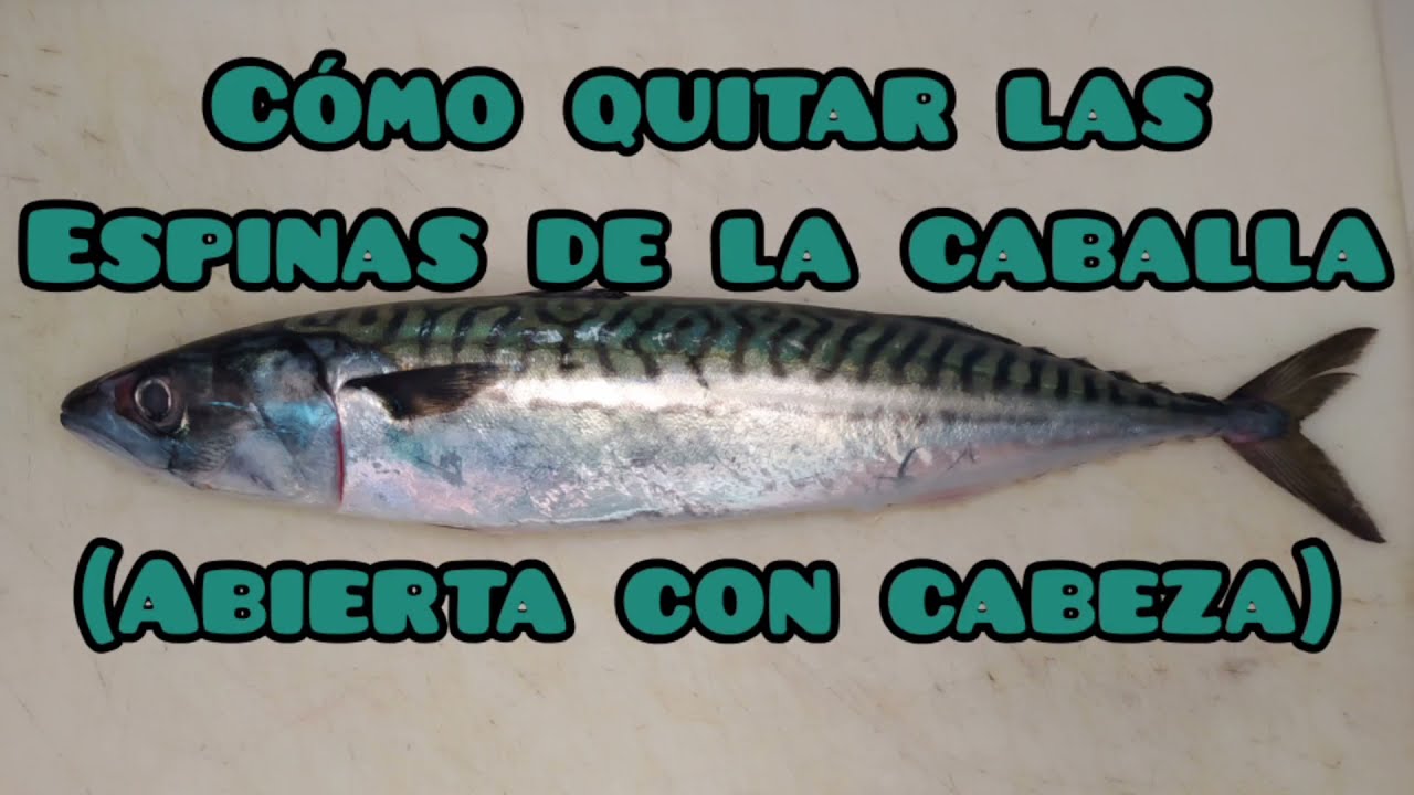 CÓMO QUITAR LAS ESPINAS DE LA CABALLA (ABIERTA CON CABEZA)