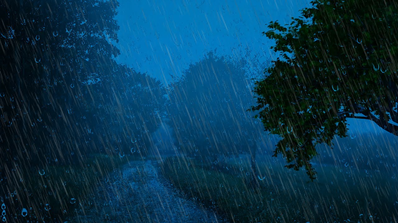 BARULHO DE CHUVA PARA DORMIR COM TROVÃO, Som de Chuva para Dormir Relaxar a Mente na Floresta
