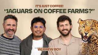 BREW BOY! - from Bean to Brew | Exploring Exotic Coffee Farms