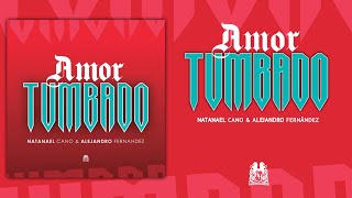 Amor Tumbado - Natanael Cano & Alejando Fernández (Official Audio)