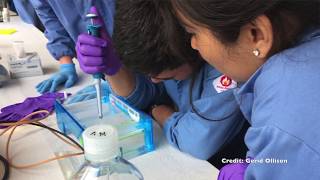 Unknown Microbes by Cyrus Hajian - 15 Second Science GEM 2018