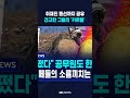 취재진 동선까지 공유..견고한 그들의 '카르텔' / SBS / #shorts
