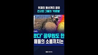 취재진 동선까지 공유..견고한 그들의 '카르텔' / SBS / #shorts
