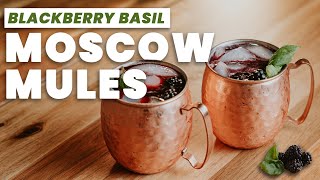 MOSCOW MULE RECIPE | Easy Vodka Cocktail by David Ledbetter 250 views 1 year ago 3 minutes, 20 seconds