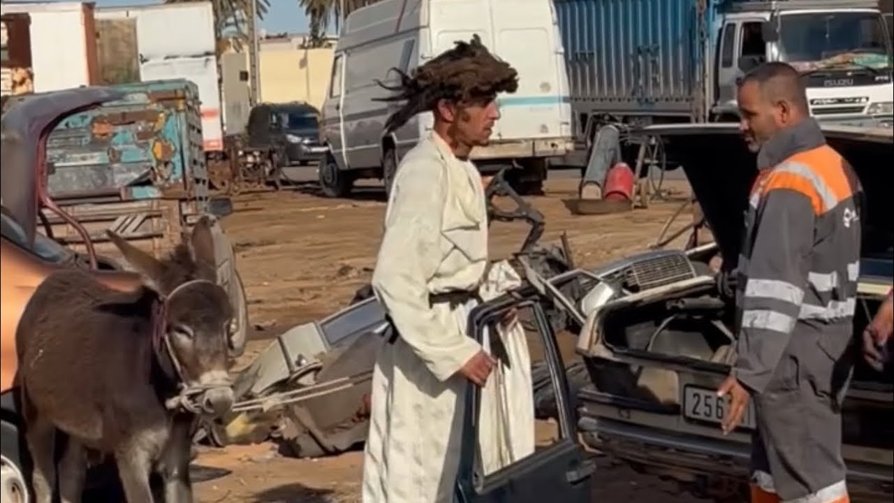 ركب ليا باب طومبيل بزااف 😂😂