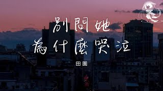 田園 - 別問她為什麼哭泣「她在哭她自己 哭她的無能為力」【動態歌詞】♪