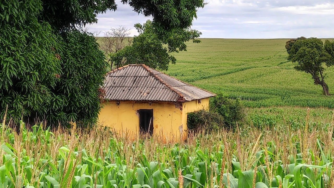 Aqui Aconteceu um Dos Maiores Absurdos que Pode Acontecer Na Vida de Um Filho e uma Mãe