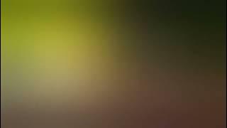 Dj Abcdefu X Safonamix Viral TikTok || Risky Chici Remix Ft Aldi Saragih