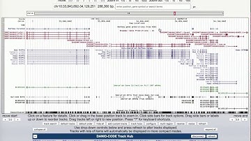 Add the DANIO-CODE trackhub to the UCSC genome browser