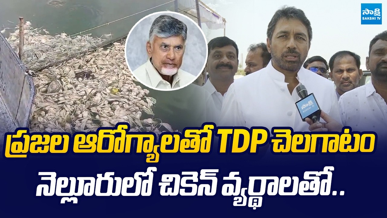 TDP Leaders Anarchies | Feeding Chicken Waste to Fishes | Chandrababu |@SakshiTVLIVE