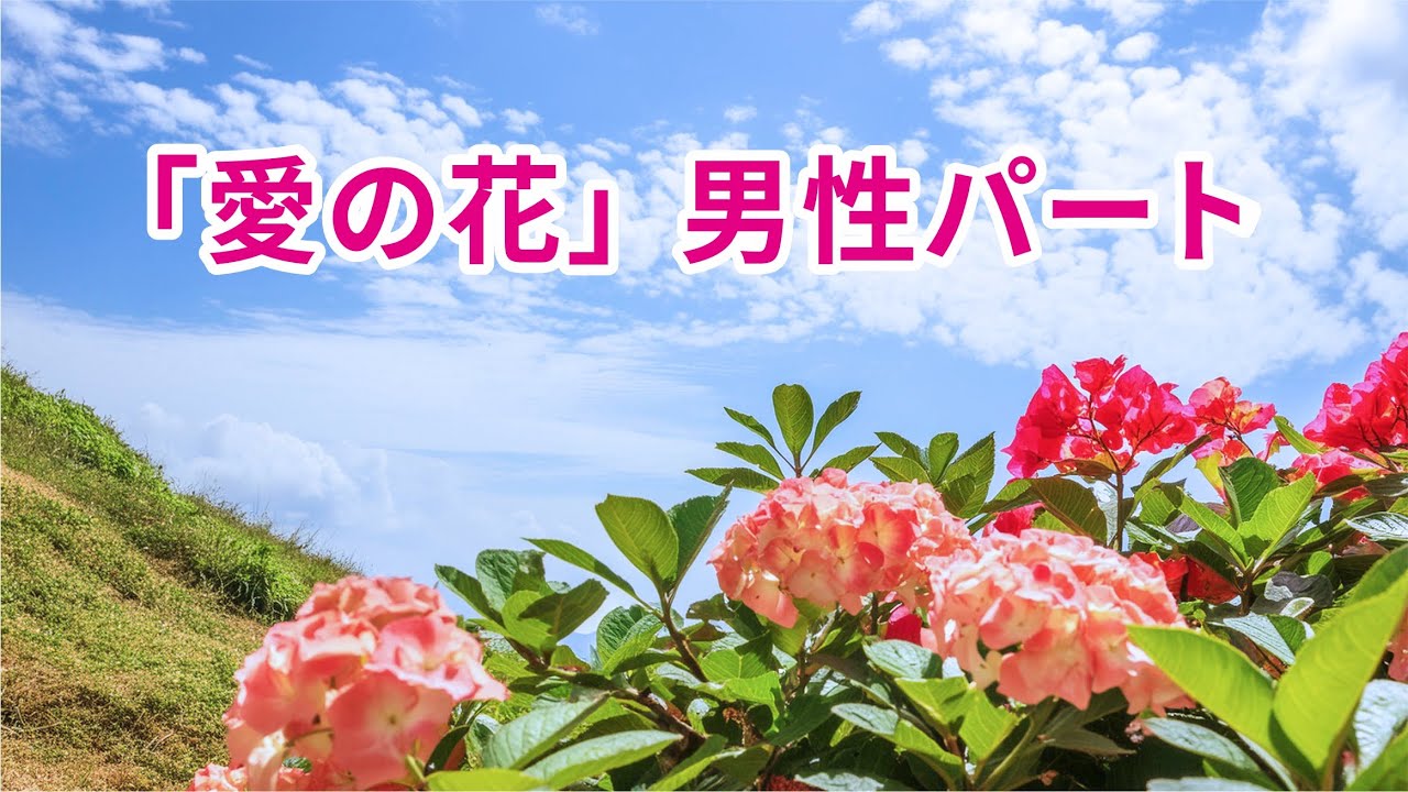 【愛の花】男性パート