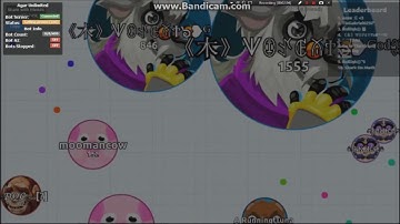 Agar.io Bots After Patch??