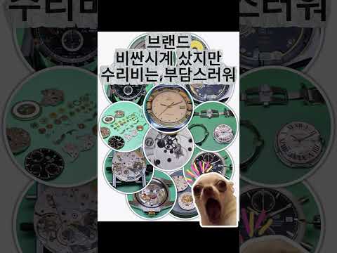 멈춘 롤렉스 기적 부활! 응암동 19년 경력 시계 명장의 마법 같은 손길 #명품시계수리, #응암동시계수리, #시계수리전문, #시계배터리교체, #은평구시계수리, #강북시계수리