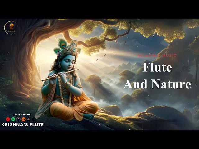 Krishna's Flute Music || Morning Deep Relaxing Music,  Stress Relief Study, Calming Music 24/65 class=