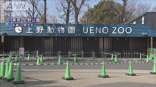 上野動物園など29日から臨時休業　延長の可能性も(20/02/29)