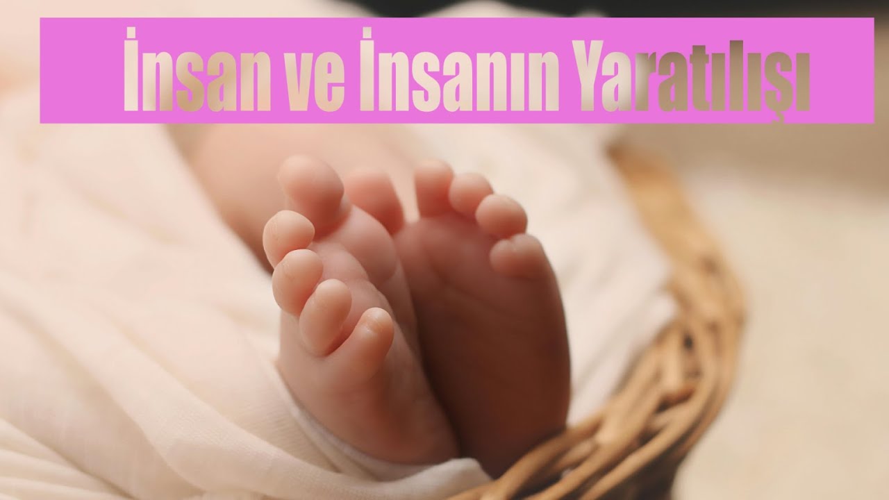 İnsan ve İnsanın Yaratılışı | 1. Ünite Allah-İnsan İlişkisi | 9. Sınıf  #yaratılış #yks #tyt #kpss