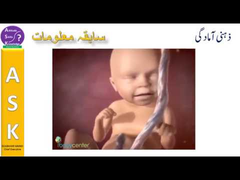 Lesson Planning For Teachers (complete) سبق کی منصوبہ سازی ، لیسن پلاننگ