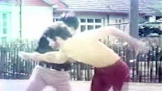 Celebrity Bruce Lee's Deadly Kung Fu Net Worth