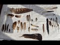 Ethical Feather Finding Mountain Hiking Guide