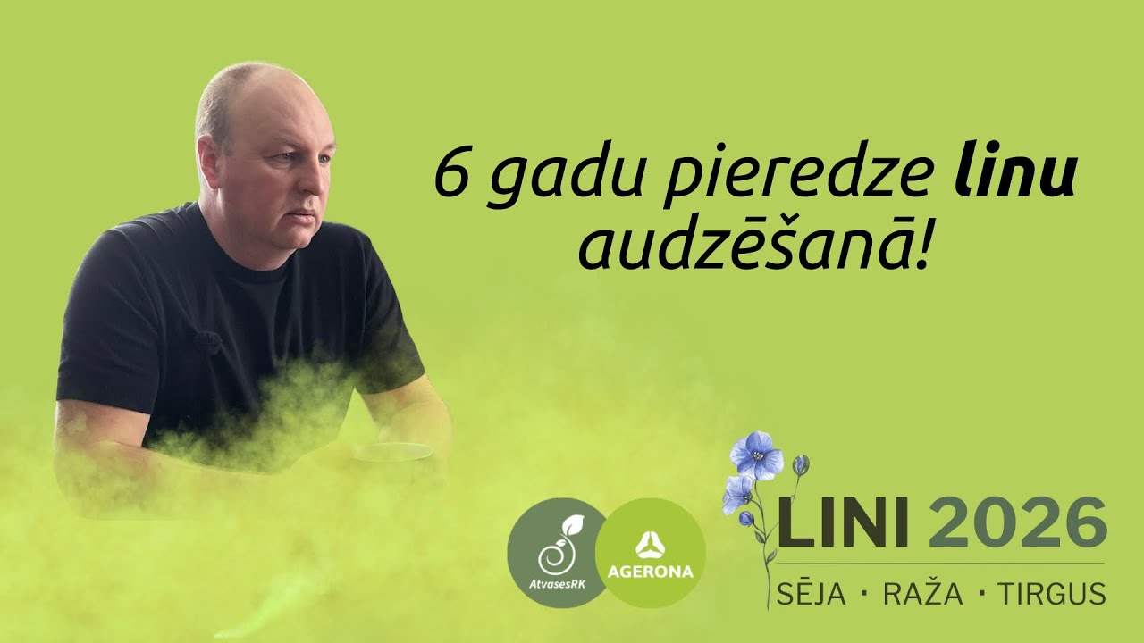LINI LATVIJĀ - kāpēc tiek turpināta linu audzēšana?