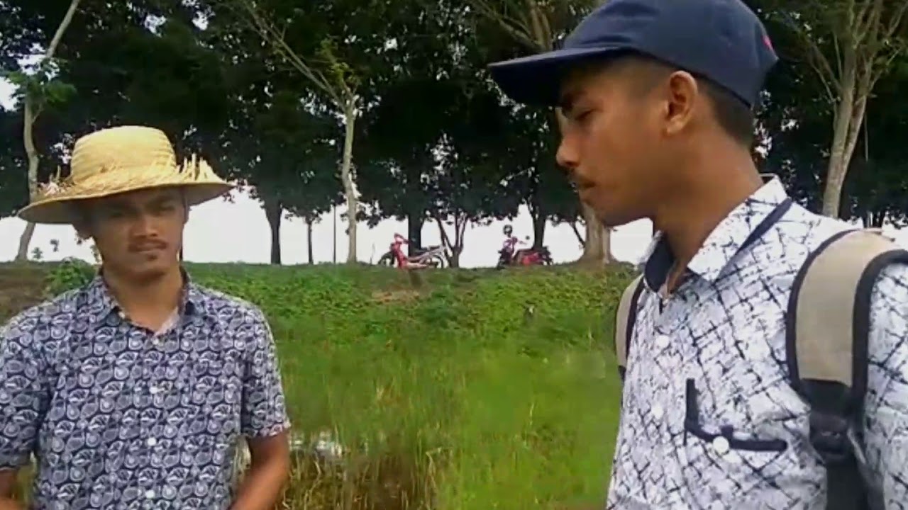 Pengendalian Hama Keong Mas Pada Tanaman Padi 