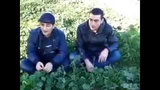 fırat ve yılmaz dıbırin