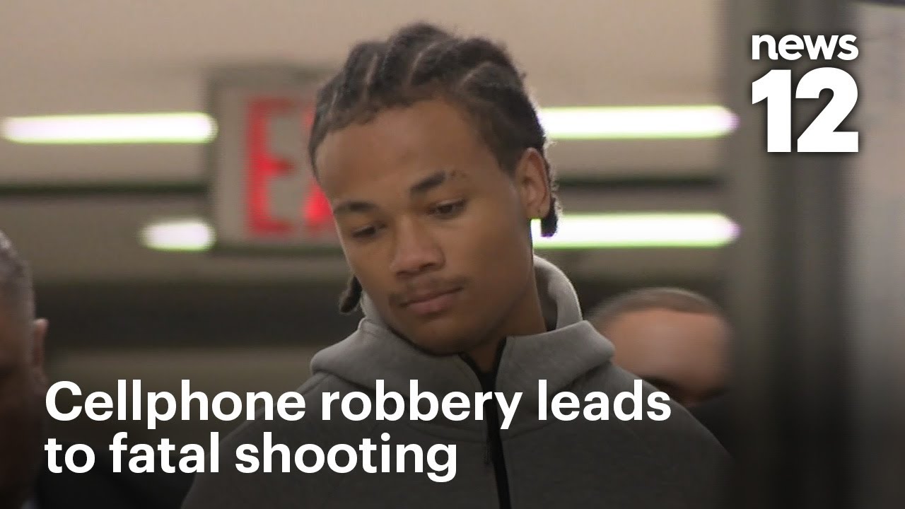 Мужчина признал себя виновным в ограблении мобильного телефона в Бронксе, которое обернулось стре...