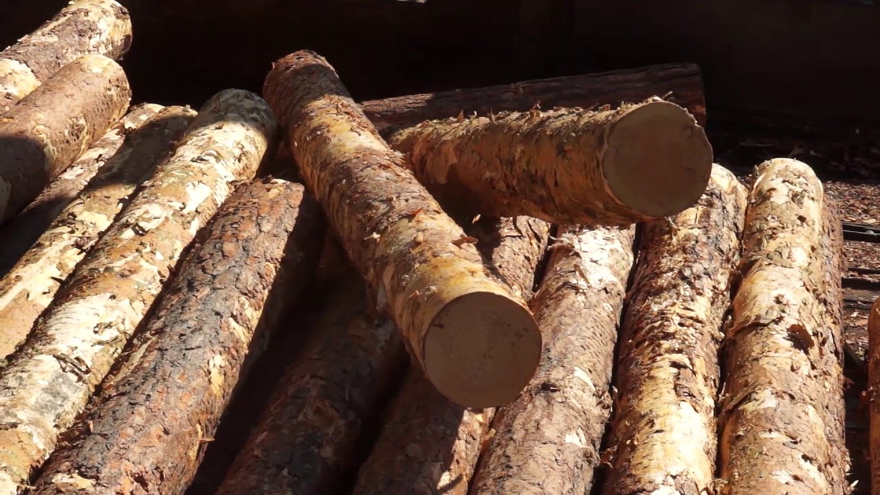 Филиал ООО "Илим Тимбер" в г. Усть-Илимске