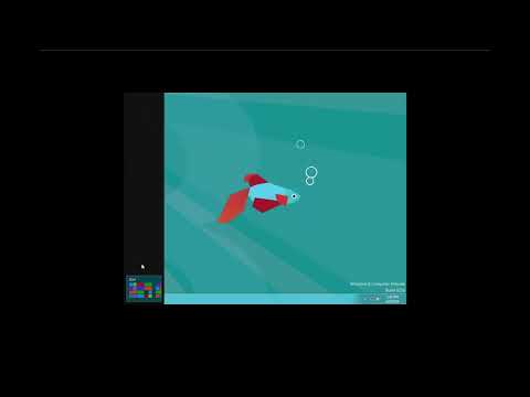 Windows 8 Consumer Preview Build 8250 Demo!
