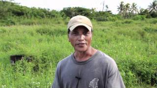 Island Farmer Spotlight: Gus Maratita