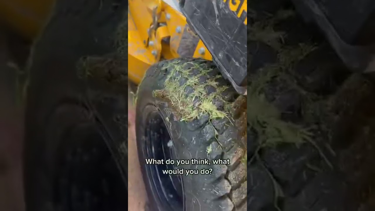 I STOP servicing yards like this 