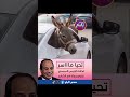 السيسي يقوم بجولة في الشارع #يسقط_الإحتلال_العسكري