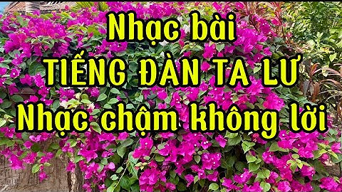 Nhạc chậm không lời bài Tiếng đàn ta lư. Đăng để tập nhảy shuffle dance❤️❤️❤️