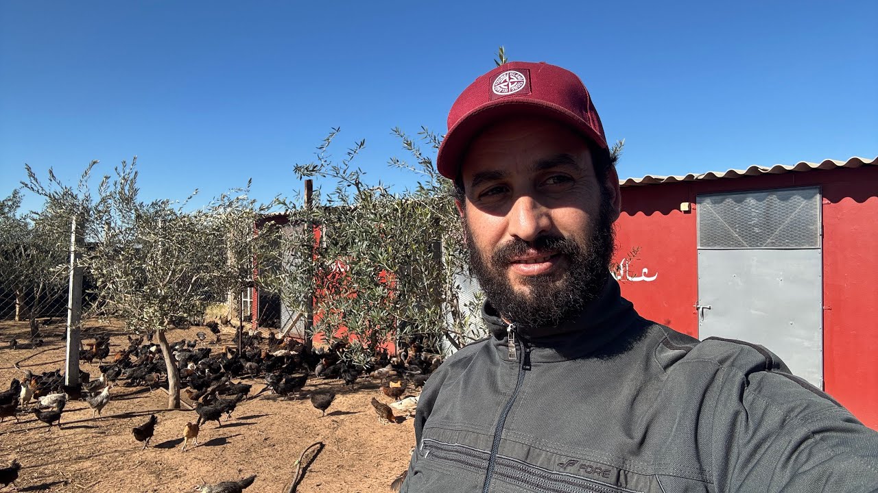 مشروع مربح بكل المعايير 