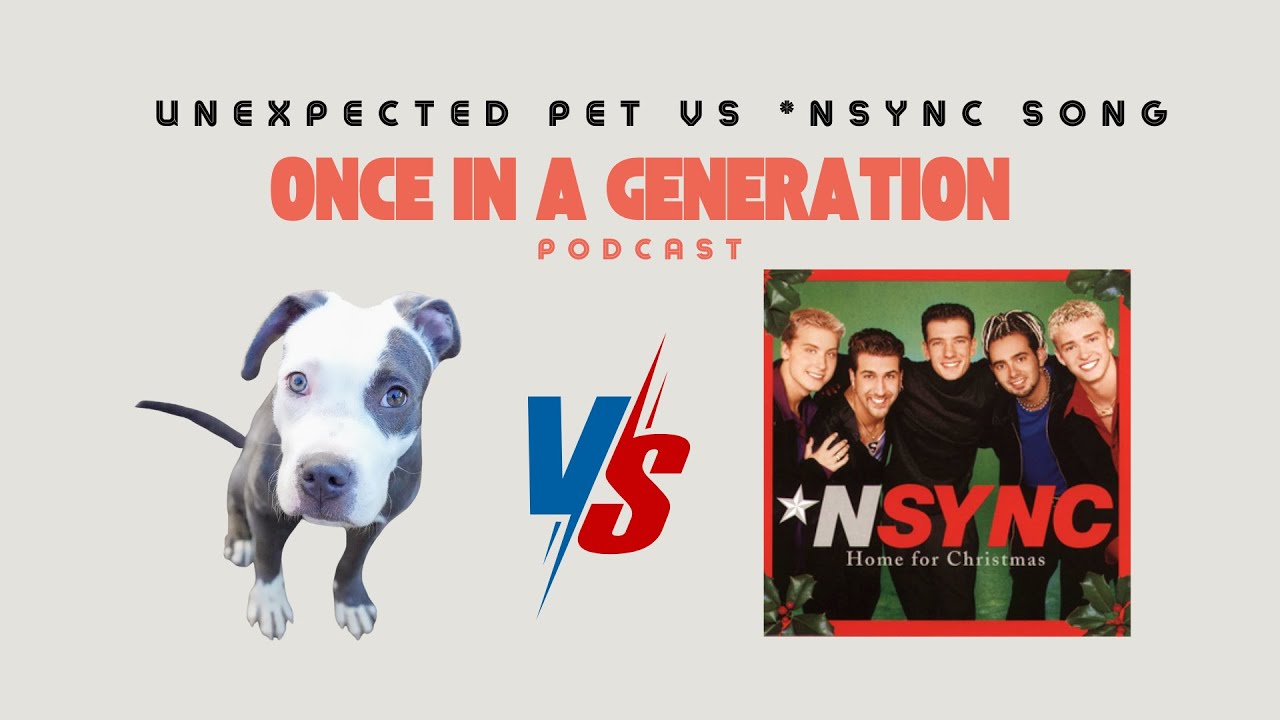 N*SYNC’s Holiday Bop Is Almost As Fun As A New Puppy (Almost)