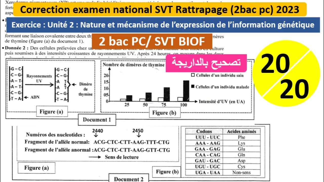 examen national svt 2bac pc rattrapage 2023 bac pc et svt (تصحيح بالداريجة)