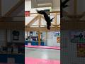 おもちゃみたいな動きになるやつwww #shorts