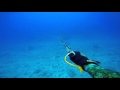 Подводная охота в Индонезии первая часть